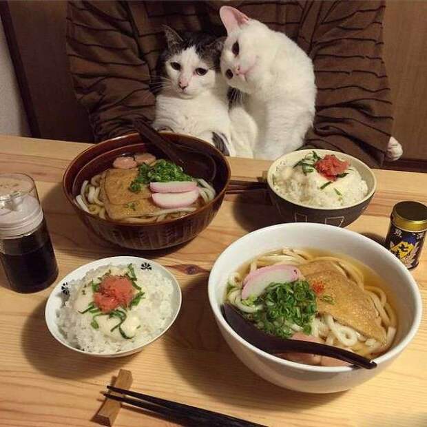 Юмор в фотографиях Юмор в фотографиях