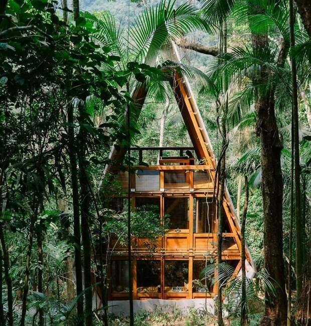 30. Атмосферный дом в джунглях Бразилии