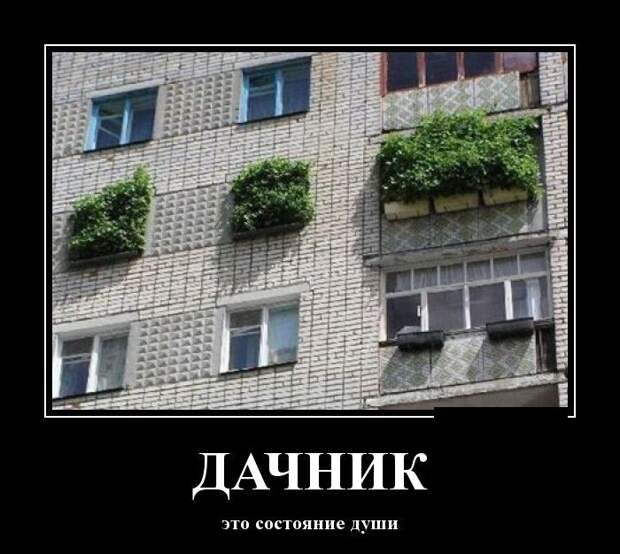 Фото, которые гарантированно поднимут вам настроение демотваторы, картинки, прикол, юмор