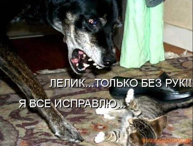 Зверье мое......