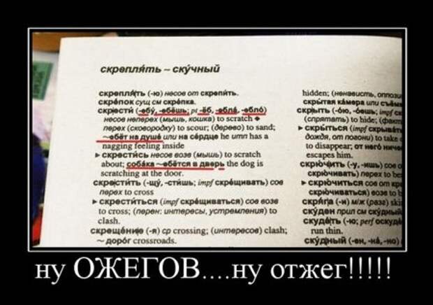 Демотиваторы, ну смешно ведь!)