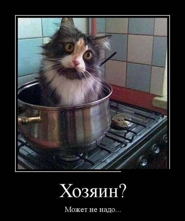 Демотиваторы  демотиваторы, прикол, смех, юмор