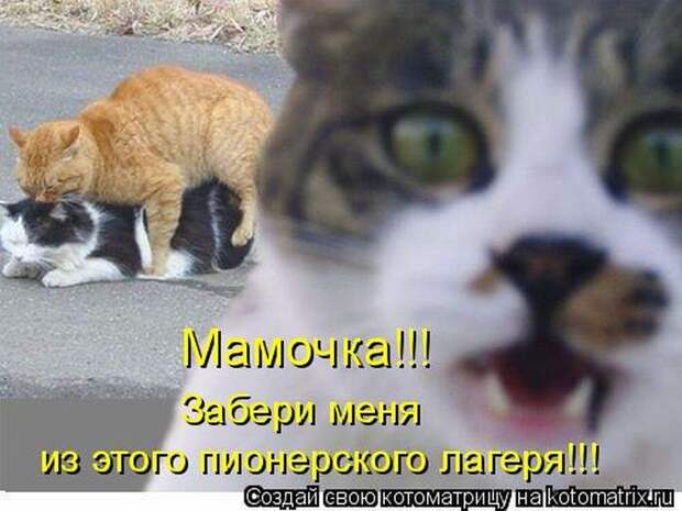 Мысли вслух :)