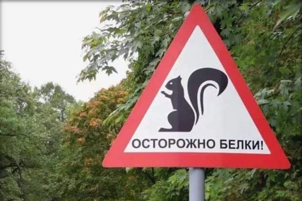 Предупреждающие таблички. Прикольные. Подборкаchert-poberi-tablichki-58310504012021-6 картинка chert-poberi-tablichki-58310504012021-6