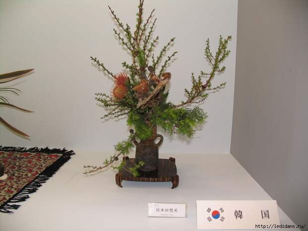 013 (700x525, 247Kb)