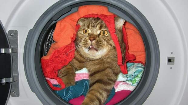 Вещи, которые нельзя стирать в стиральной машине