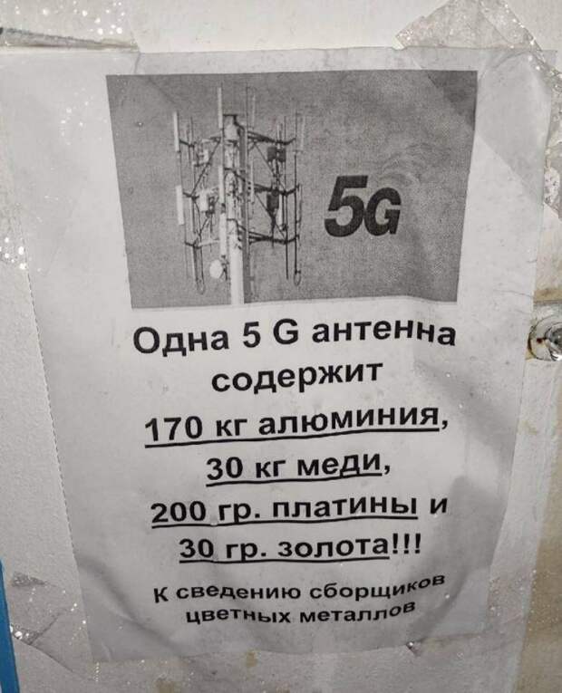 приколы картинки с надписями (9)
