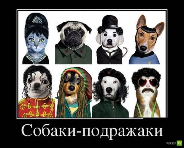 Демотиваторы на июль, часть 6 (30 фото) Демотиваторы на июль, часть 6 (30 фото)