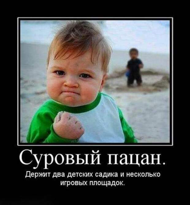 Демотиваторы (133 картинки)
