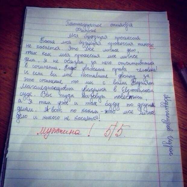 Без памперсов не читать! Выдержки из школьных сочинений выдержки, сочинения, школьники