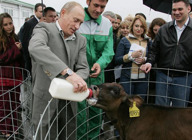 Владимир Владимирович Путин и звери добро, животные, мир, путин, россия