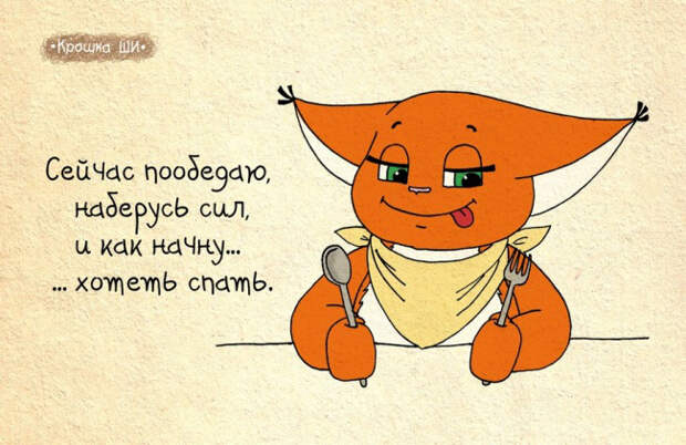 рыжая белочка крошка ши (6)