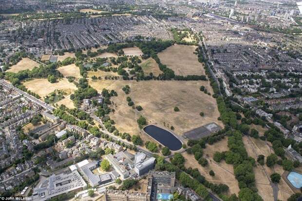Городской парк Клапхэм Коммон в южном Лондоне ynews, англия, аномальная жара, аэрофотосъемка, великобритания, засуха, лондон, раньше и сейчас, сравнение
