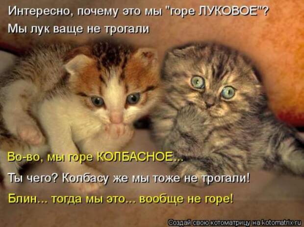 Котоматрицы (картинки с надписями)