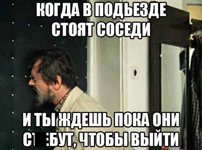 Смешные картинки с подписями катинки, прикол, юмор