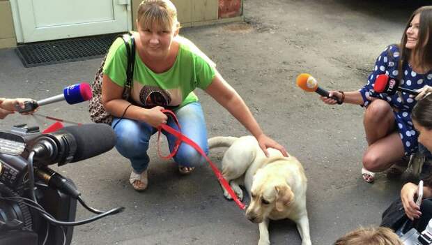 Украденную в Москве собаку-поводыря вернули хозяйке.