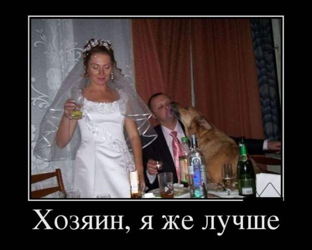 Лучшие демотиваторы дня