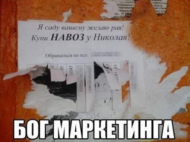 смешные надписи, объявления, маразмы