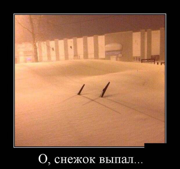 Демотиваторы бревно, демотиваторы, юмор