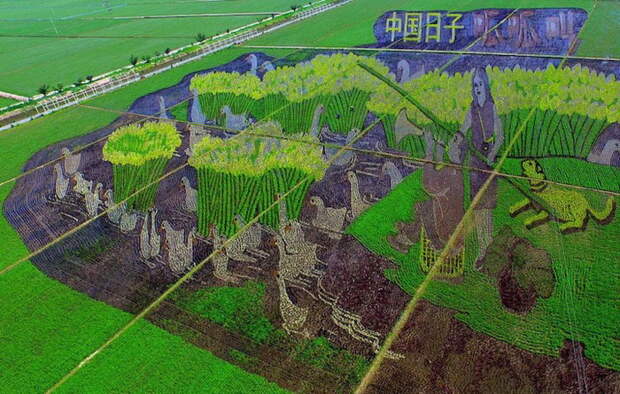 3D-рисунки на полях в Китае