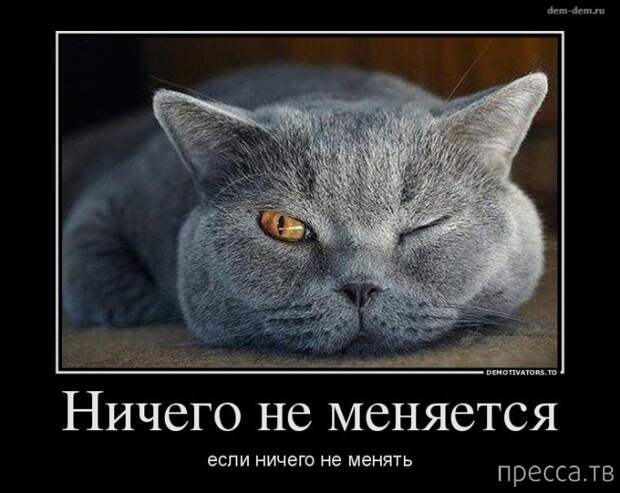Самые злобные демотиваторы, часть 112 (41 фото)