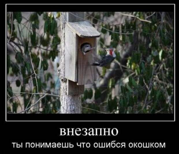Посмотреть прикольные демотиваторы.