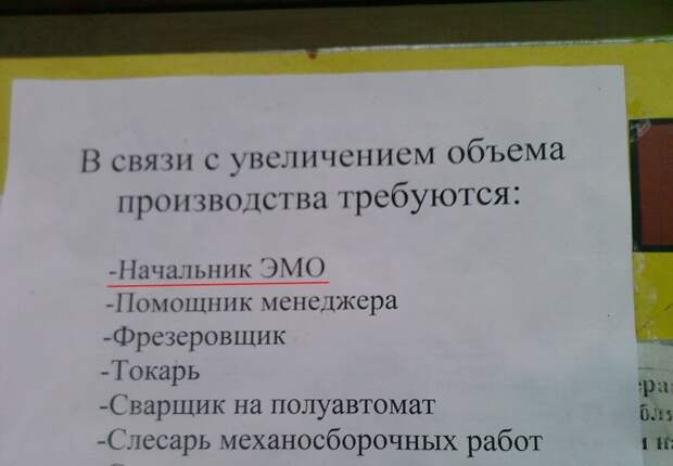 Счастливые люди, которым повезло с начальством Счастливые люди, которым повезло с начальством прикол, работа, юмор