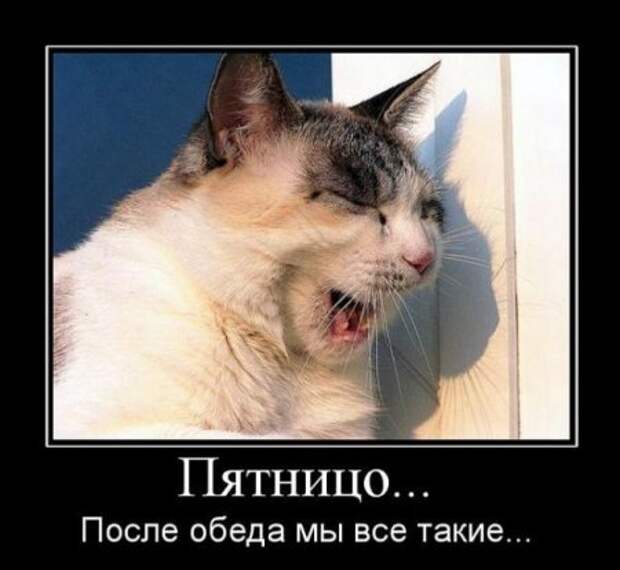 убойные пятничные демки)