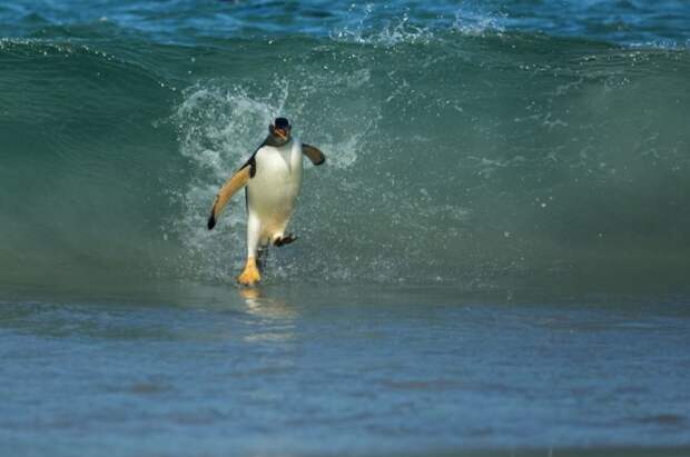 National Geographic: лучшие фотографии июня geographic, national, фотографии