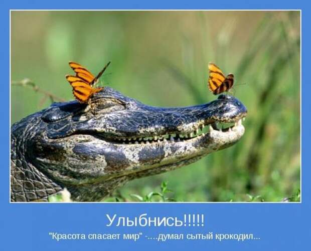 Мотиваторы