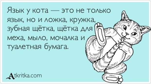 Веселые Аткрытки с текстом Веселые Аткрытки с текстом