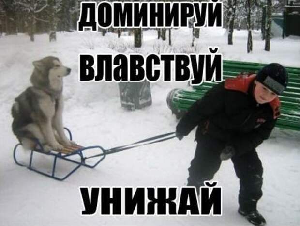 Доминируй, властвуй, унижай!