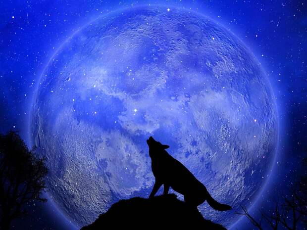 Первое полнолуние года: как встретить его правильно