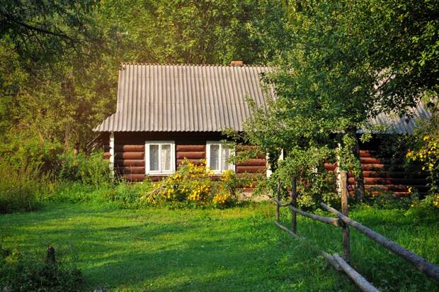 свойства деревьев