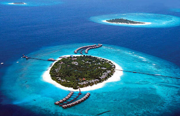 maldivy