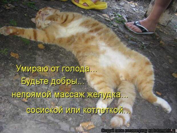 Мысли вслух :)