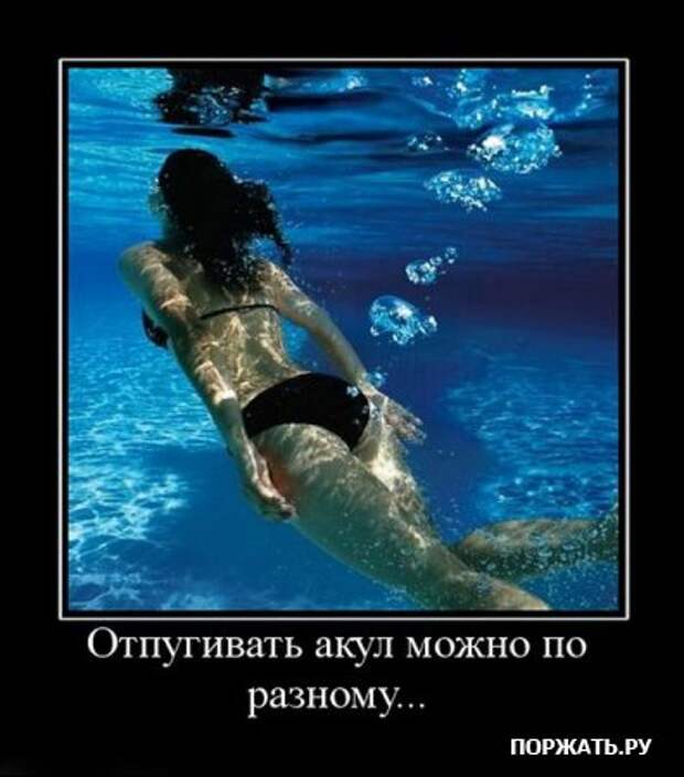 Демотиваторы приколы и юмор в смешных фотках с надписями.