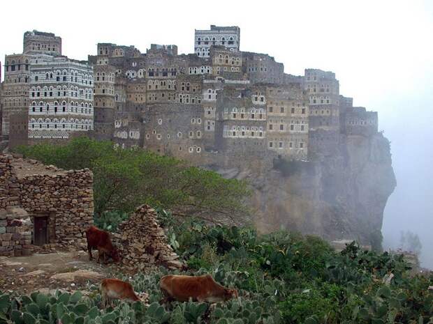 13-Пезажи острова Сокотра. Йемен