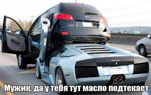 Снова прикольные картинки (50 шт)