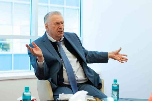 В файлах Эпштейна упоминается Жириновский