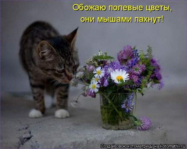 Мысли вслух :)