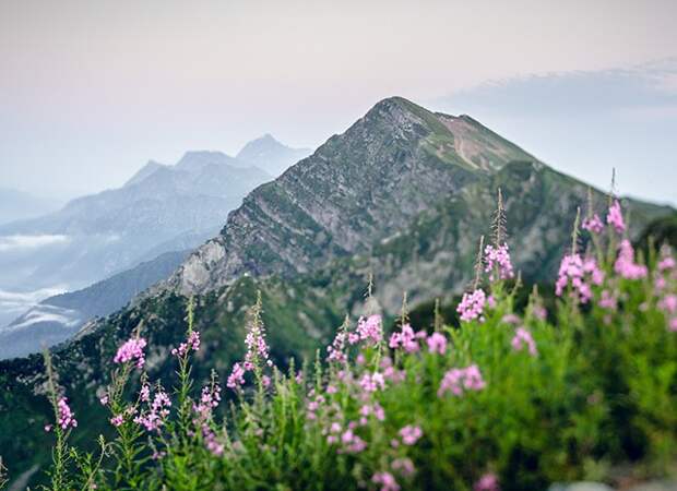 Роза Хутор