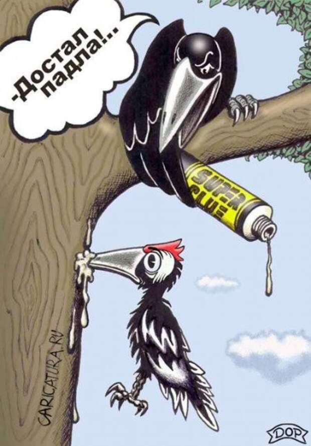 Юмор в картинках
