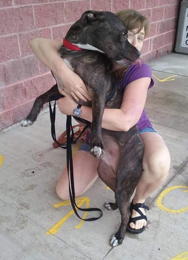 dog-who-cried-6