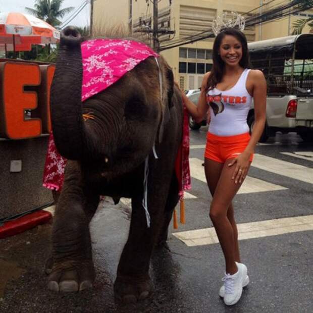 Девушки "Hooters" (28 фото)