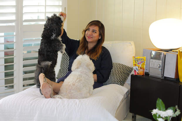 Chloe and Stella jumping for treats