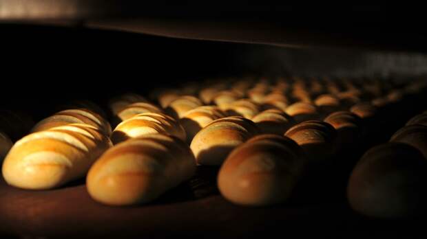 Деньги разворованы, руководство сбежало: На Ногинском хлебокомбинате, где голодают сотрудники, остановили печи