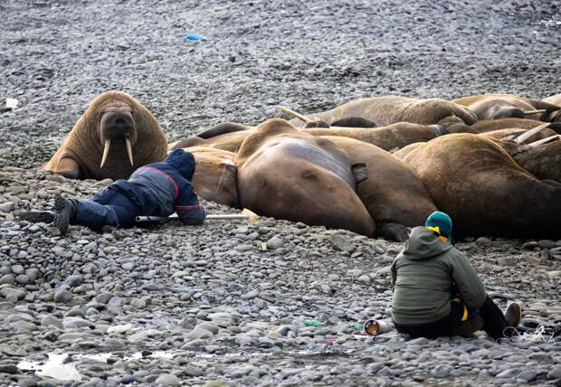 Фотографии РГО
