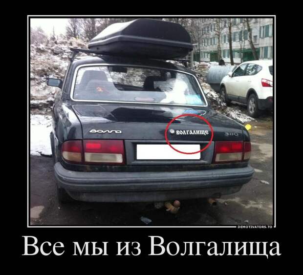 Демотиваторы (51 фото) 