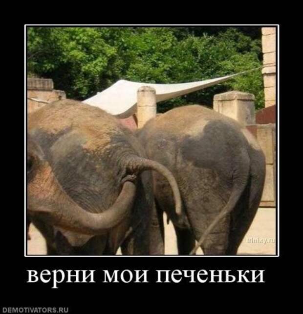 Хочу прикольные демотиваторы.